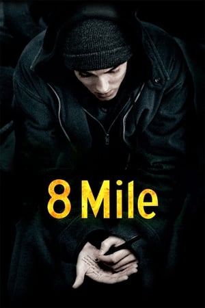 8 Mile 2002 Hindi Dual Audio 340MB