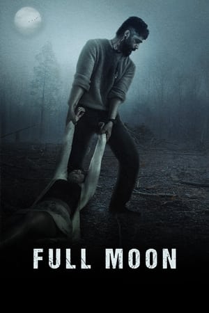 Full Moon 2023 Punjabi – 480p
