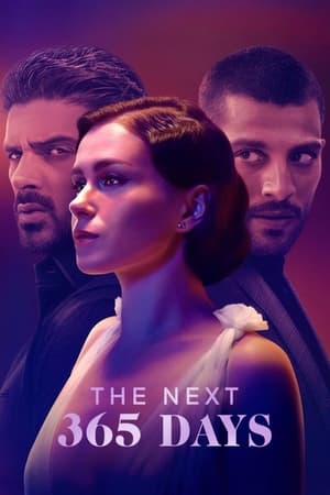 The Next 365 Days 2022 Hindi Dual Audio – 480p