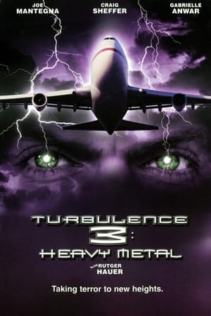 Turbulence 3 Heavy Metal 2001 Hindi Dual Audio [1GB]